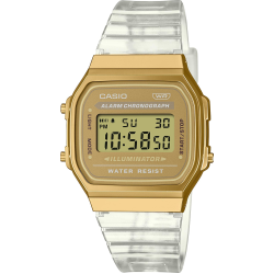 Casio A168XESG-9A