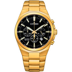 Citizen AN8173-51E