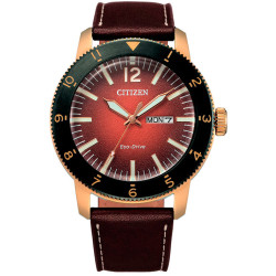 Citizen AW0079-13X