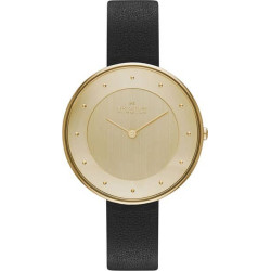 Ремешок к часам Skagen SkSKW2262