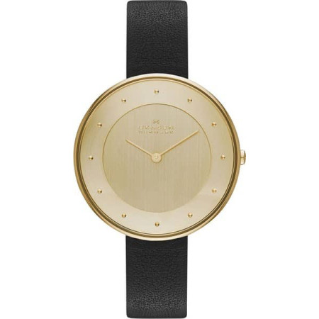 Ремешок к часам Skagen SkSKW2262