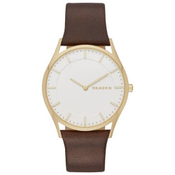 Ремешок к часам Skagen SkSKW6225