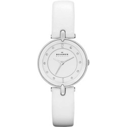 Skagen SKW2012