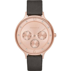 Ремешок к часам Skagen SkSKW2392