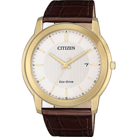 CITIZEN AW1212-10A